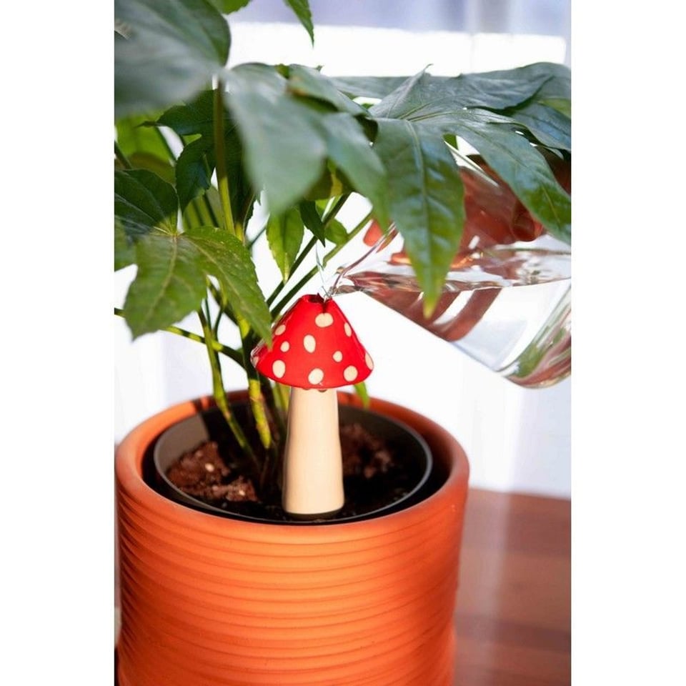 DOIY Zelf Waterende Paddestoel Amanita