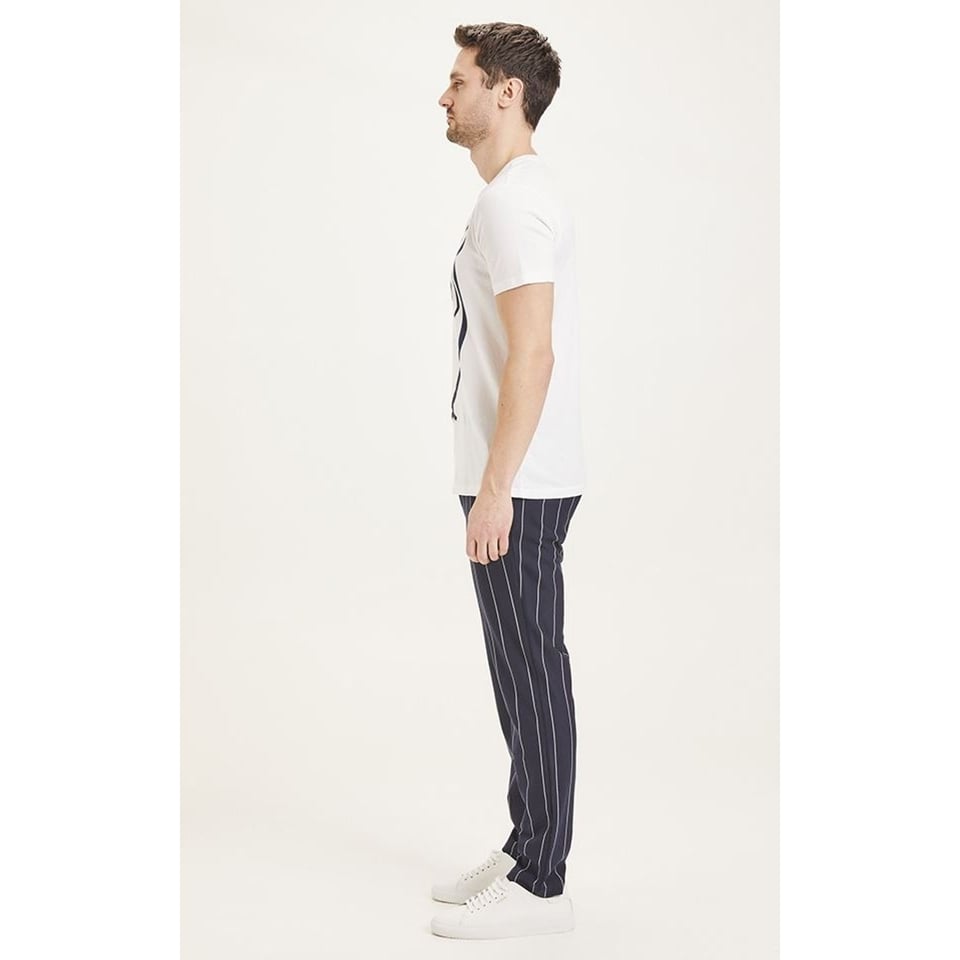 Pants Joe Slim Pin Striped