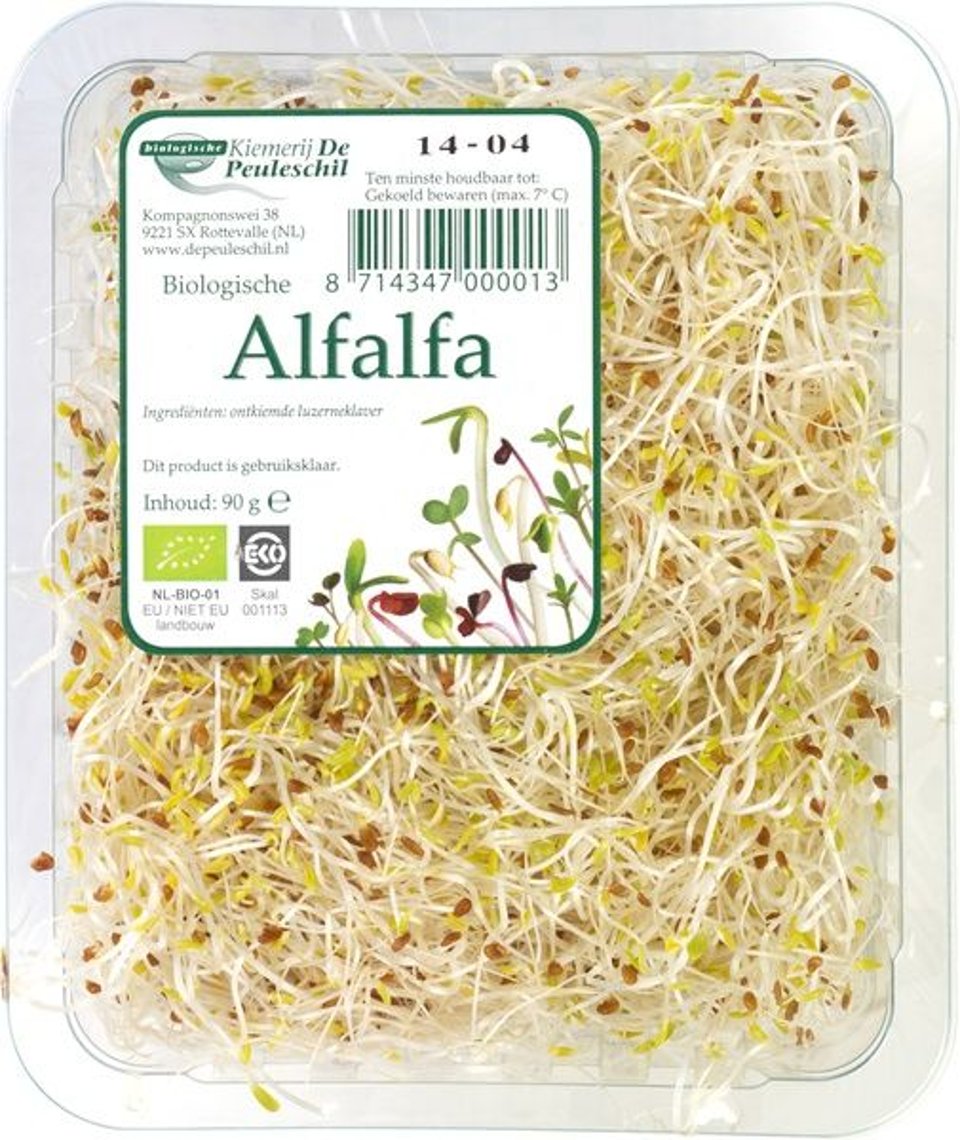 Alfalfa