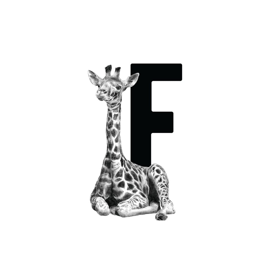 Letterbord F Met Giraf