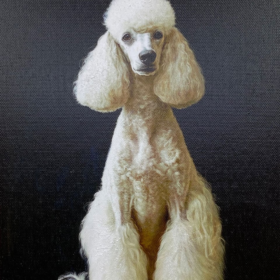 Schilderij Poedel in Peach Barok Lijst 30x35cm Handgeschilderd