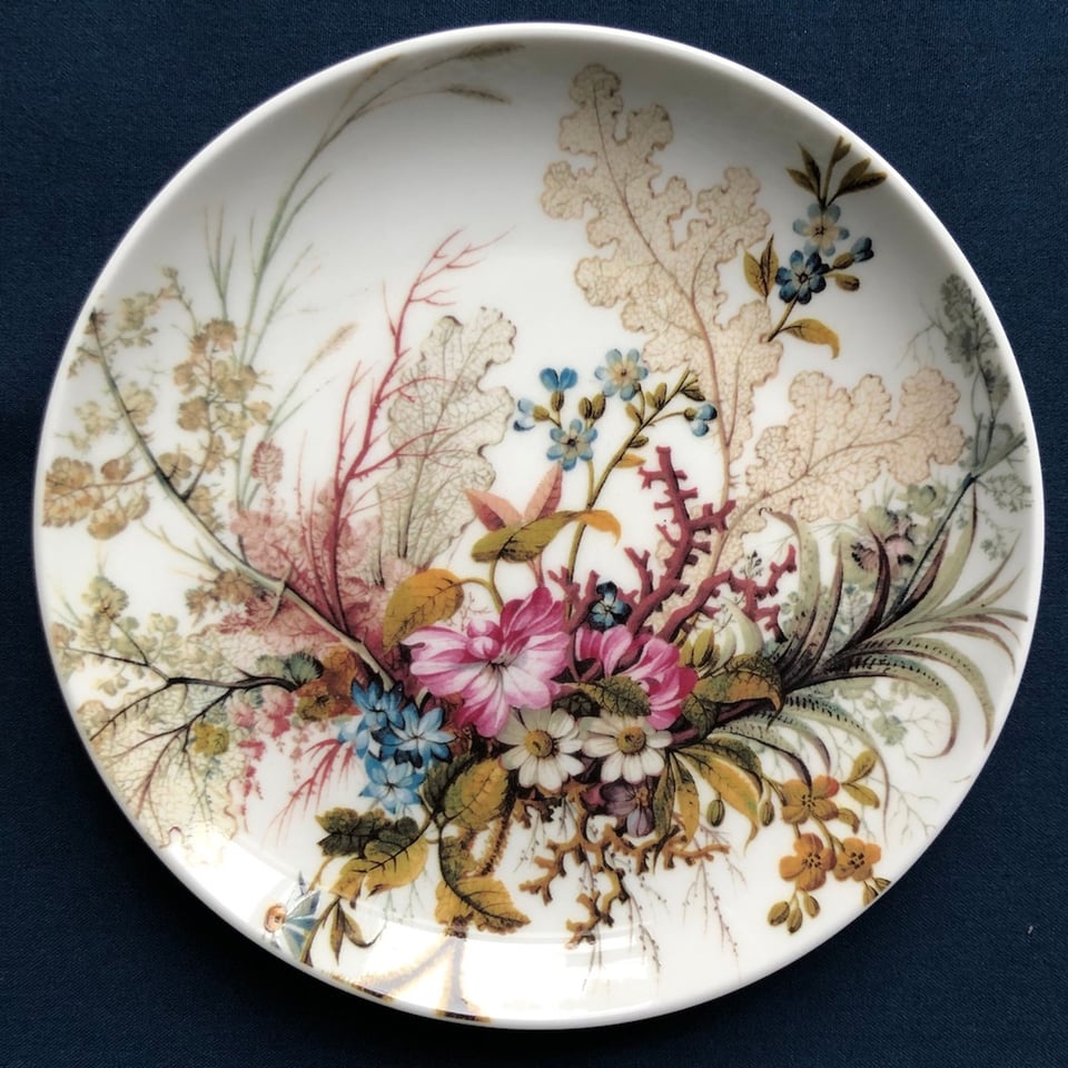 Bord Ocean Fantasy 20 Cm VERHUUR