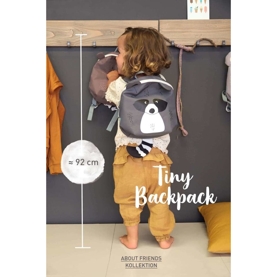 Tiny Backpack Racoon, About Friends
