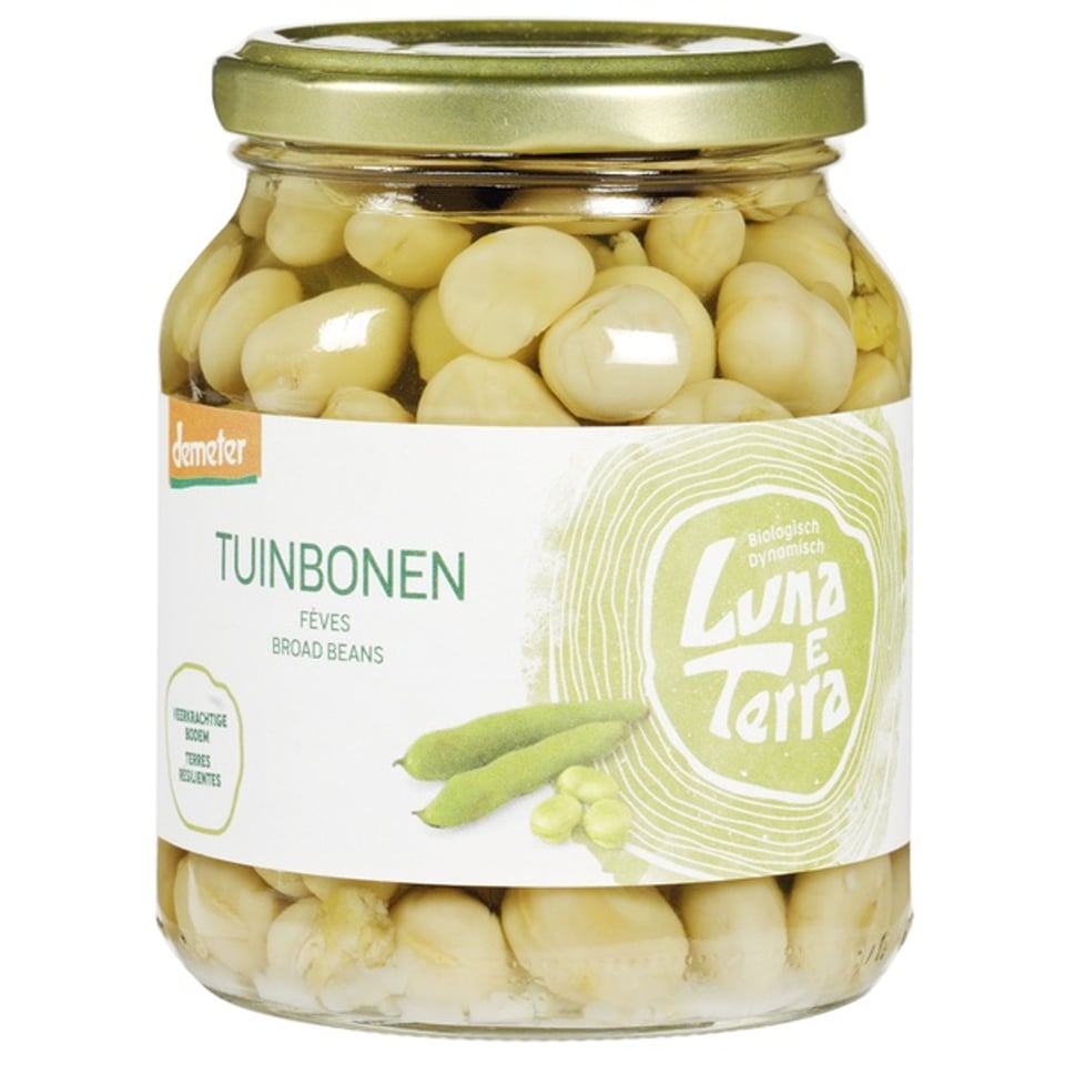 Tuinbonen