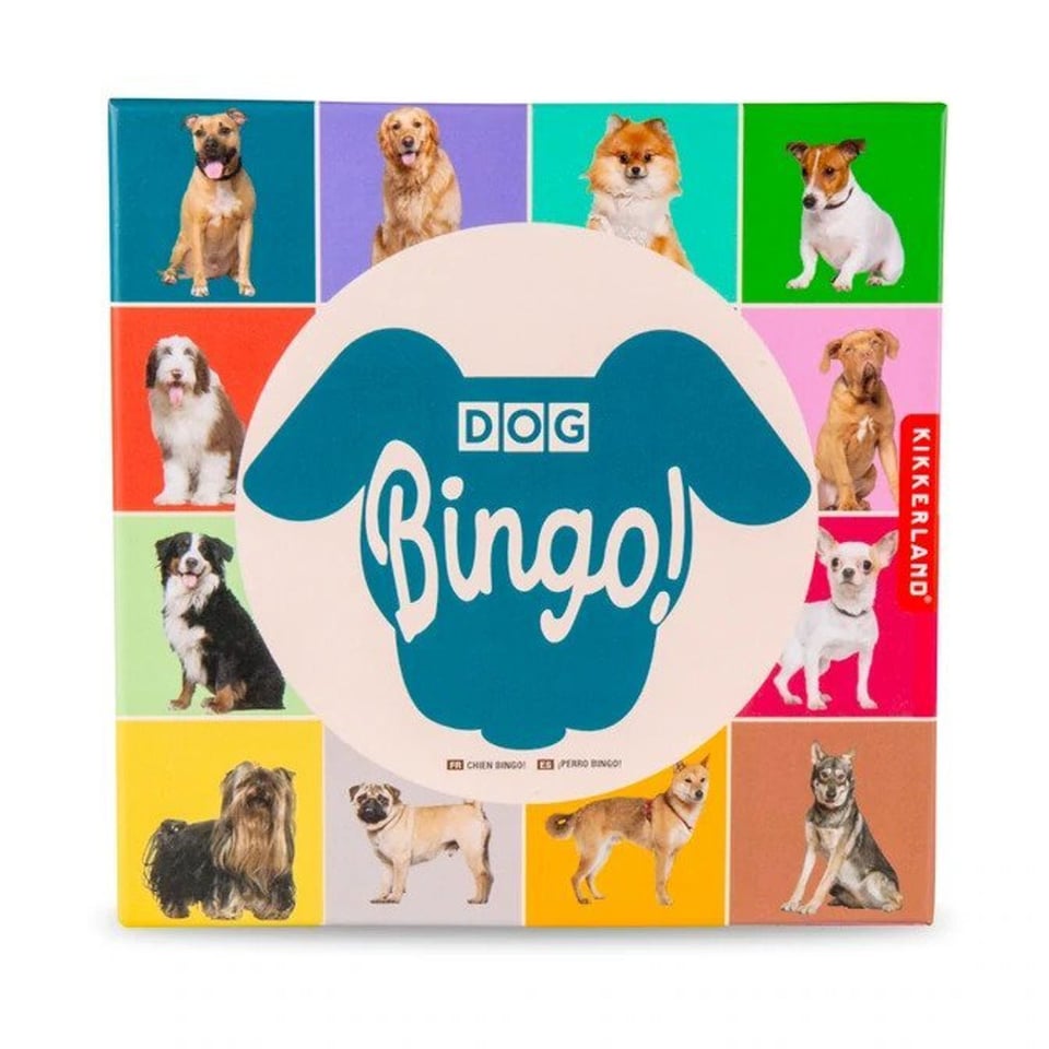 Bingo - Honden