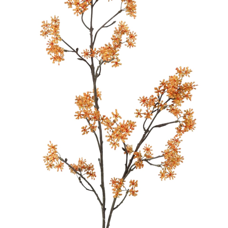 Kunstbloem Stoncorp Bes Naturel Op Tak 102cm