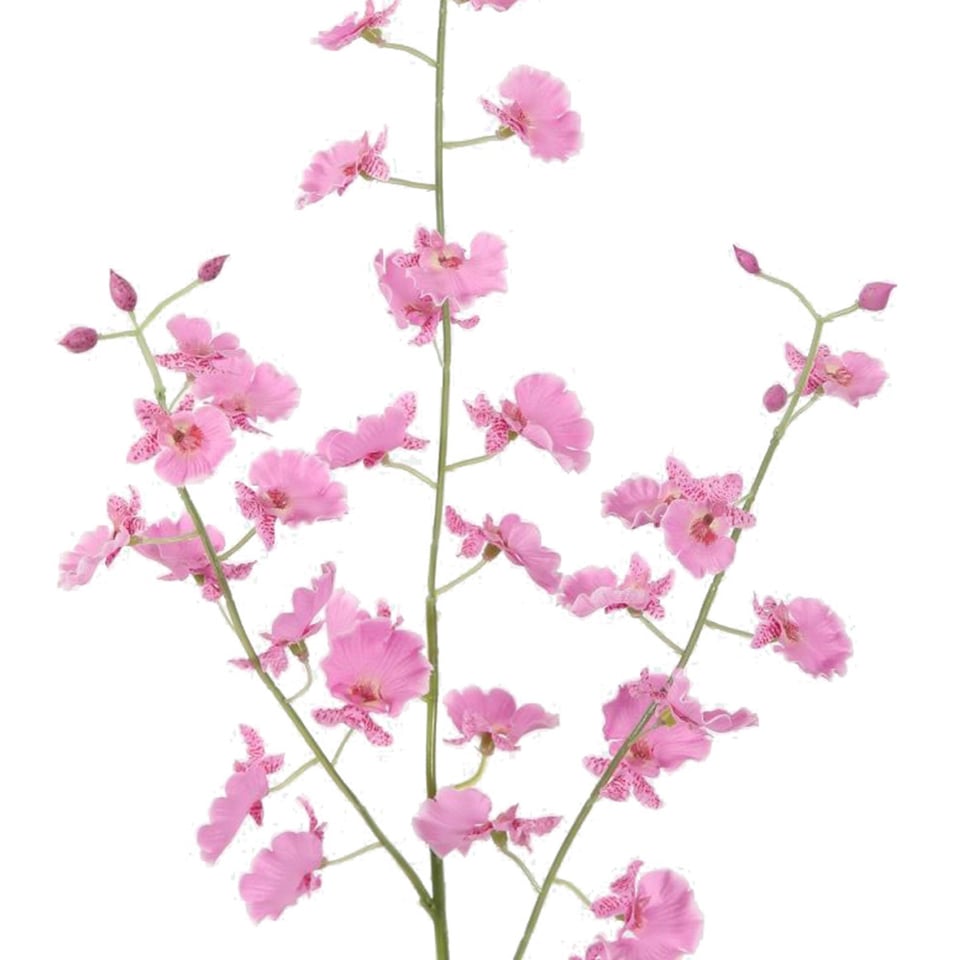 Kunstbloem Orchidee Roze Dancing Tak 80cm