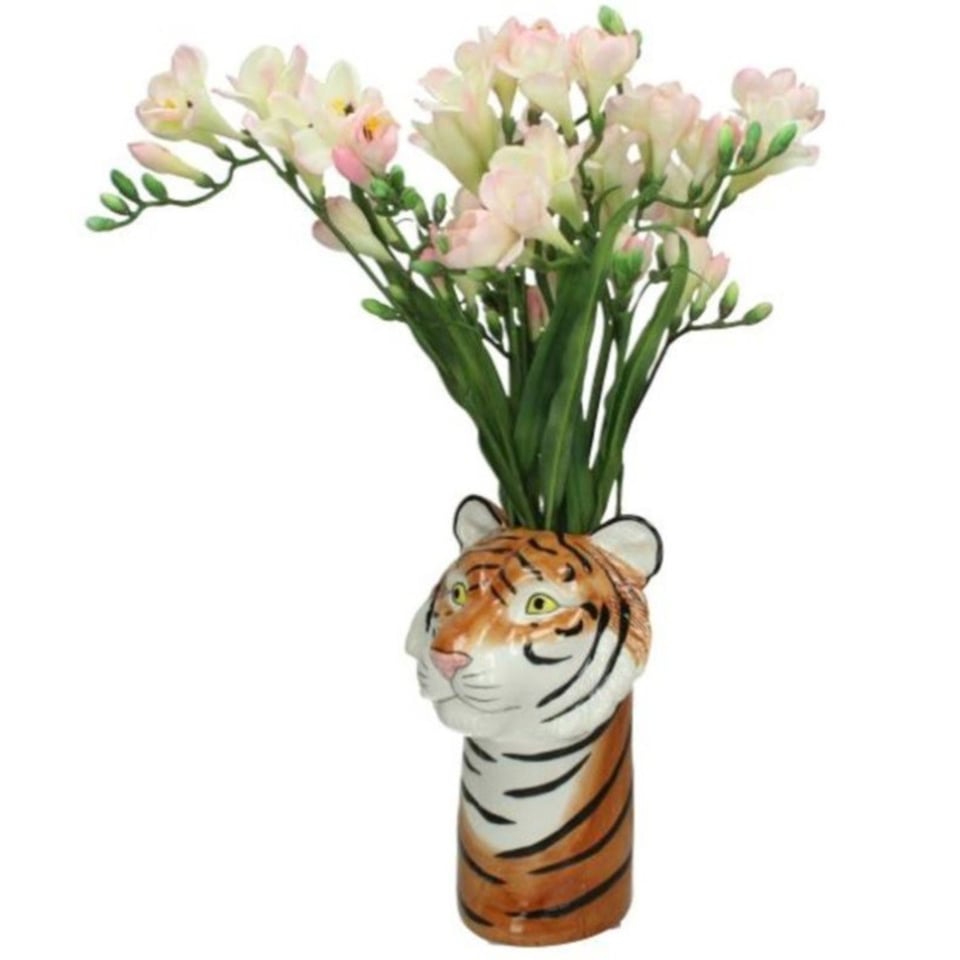 Vaas Tijger