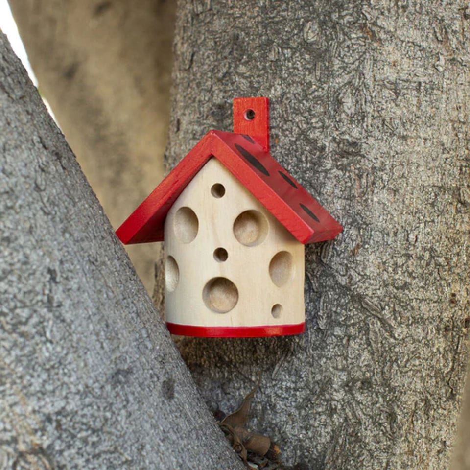 KIKKERLAND Huis Lieveheersbeestjes