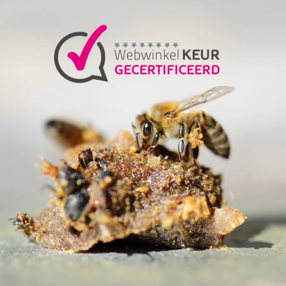 Lippenbalsem met propolis, rauwe honing, vitamine E, vlierbessen 10ml Propolitos (gekleurd, vloeibaar) - 10ml