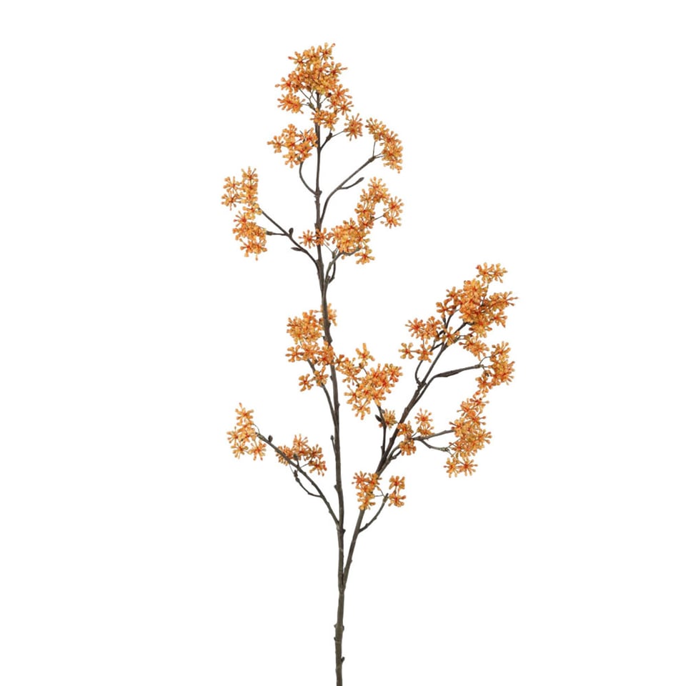 Kunstbloem Stoncorp Bes Naturel Op Tak 102cm
