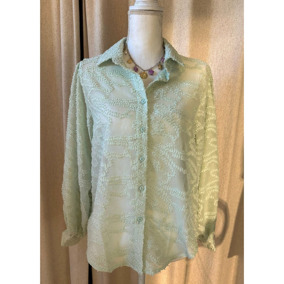 Sheer light green Matcha blouse