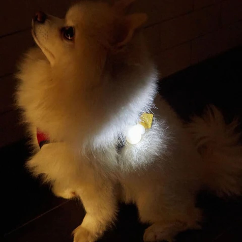 KIKKERLAND Lichtgevende Naamtag