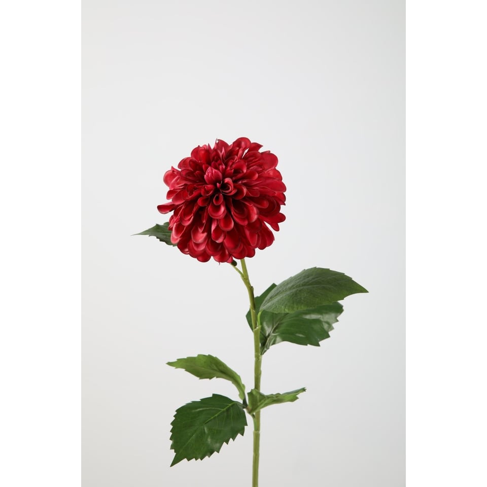 Kunstbloem Dahlia Hillcrest Bordeaux 76cm