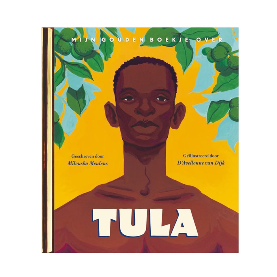 Mijn Gouden Boekje over Tula - Milouska Meulens