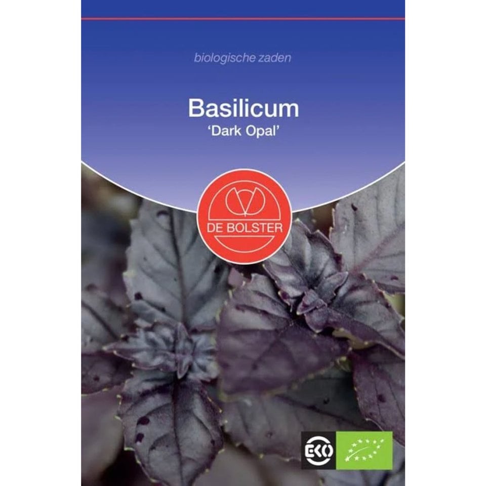 Basilicum 'Dark Opal'