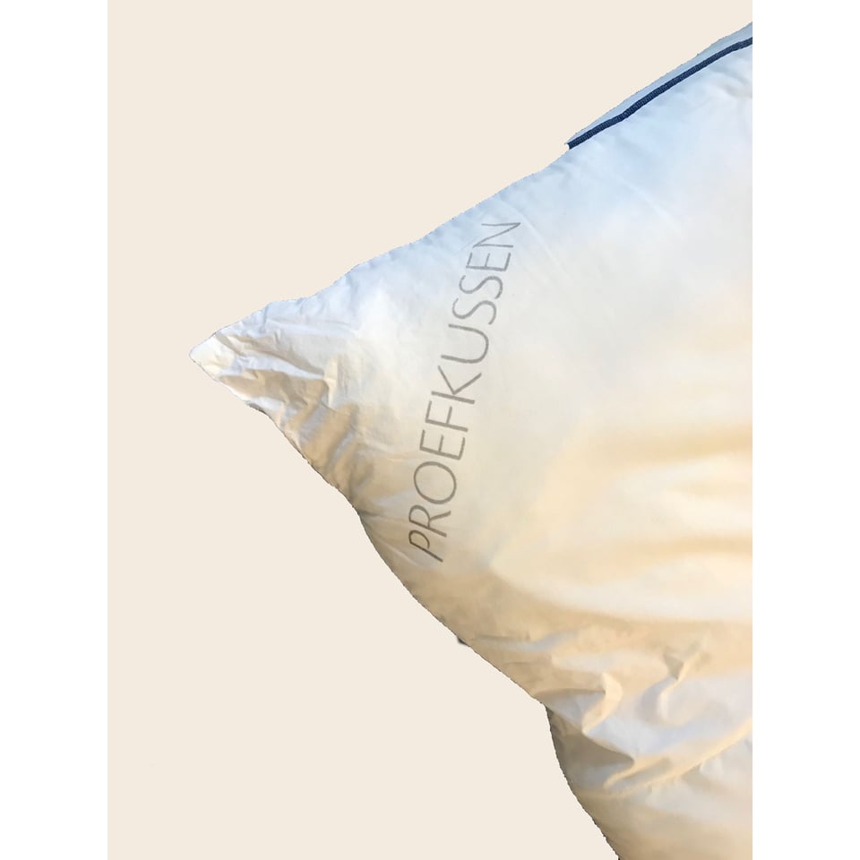 Silvana Support Fluorine Blauw Ex-Proefkussen 60x70 Cm
