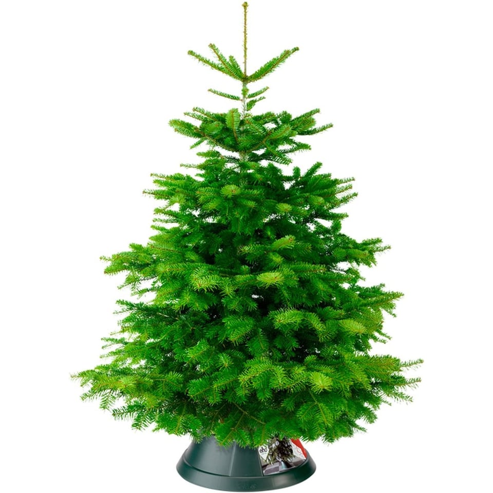 Elho Kerstboomstandaard Voor Binnen