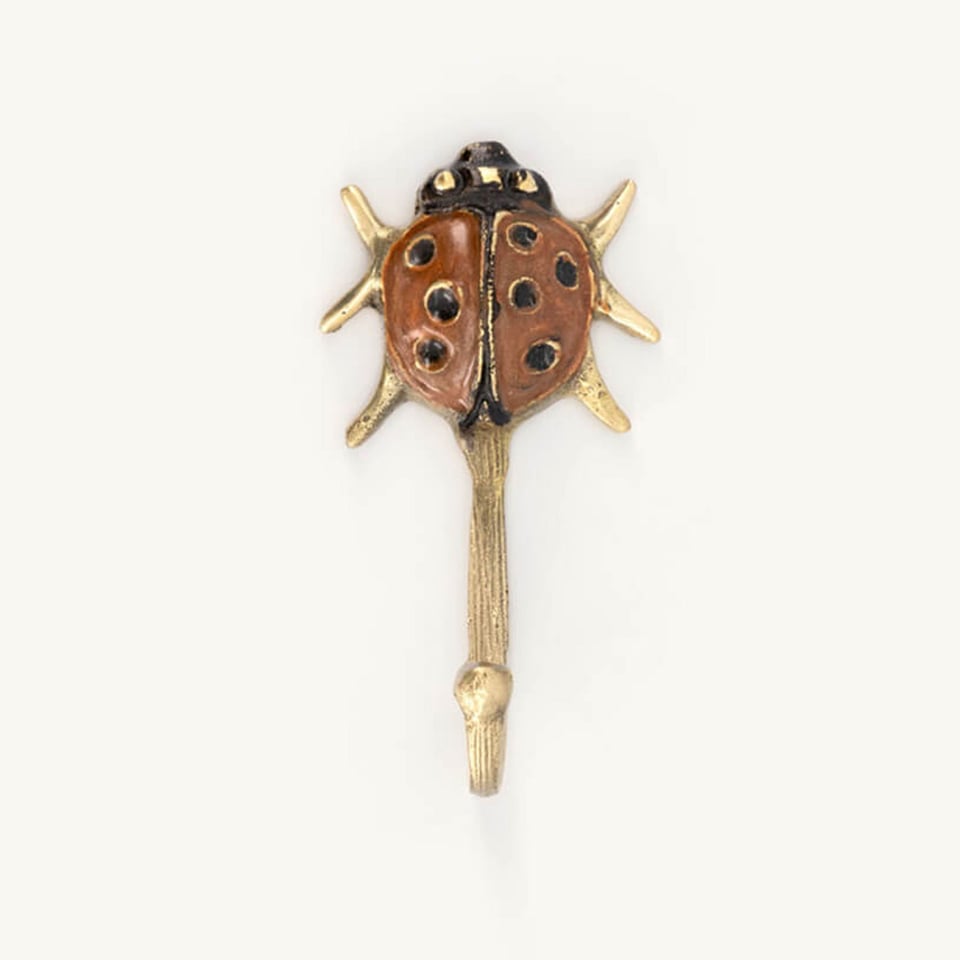 Wandhaakje Lady Bug Multicolor Messing 4x8cm