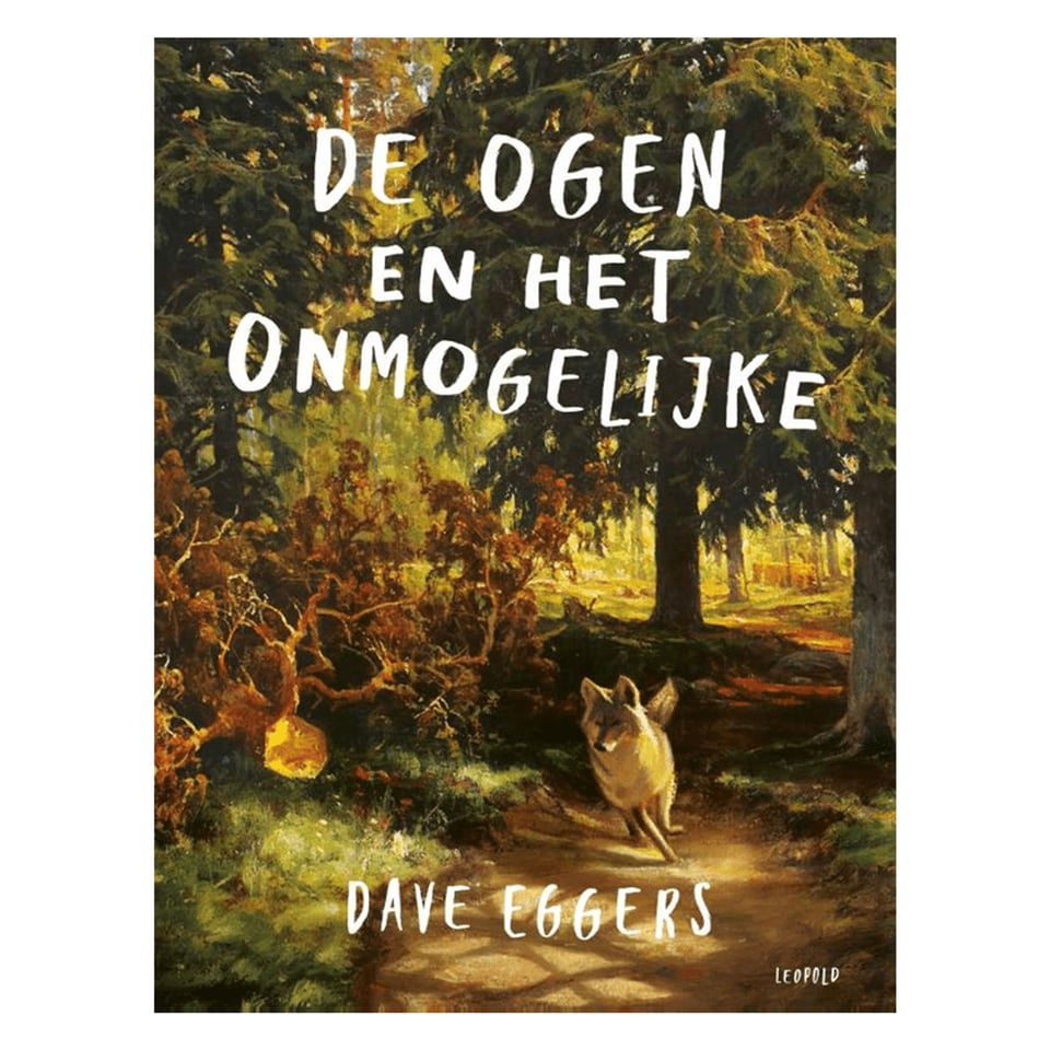 De Ogen en Het Onmogelijke - Dave Eggers
