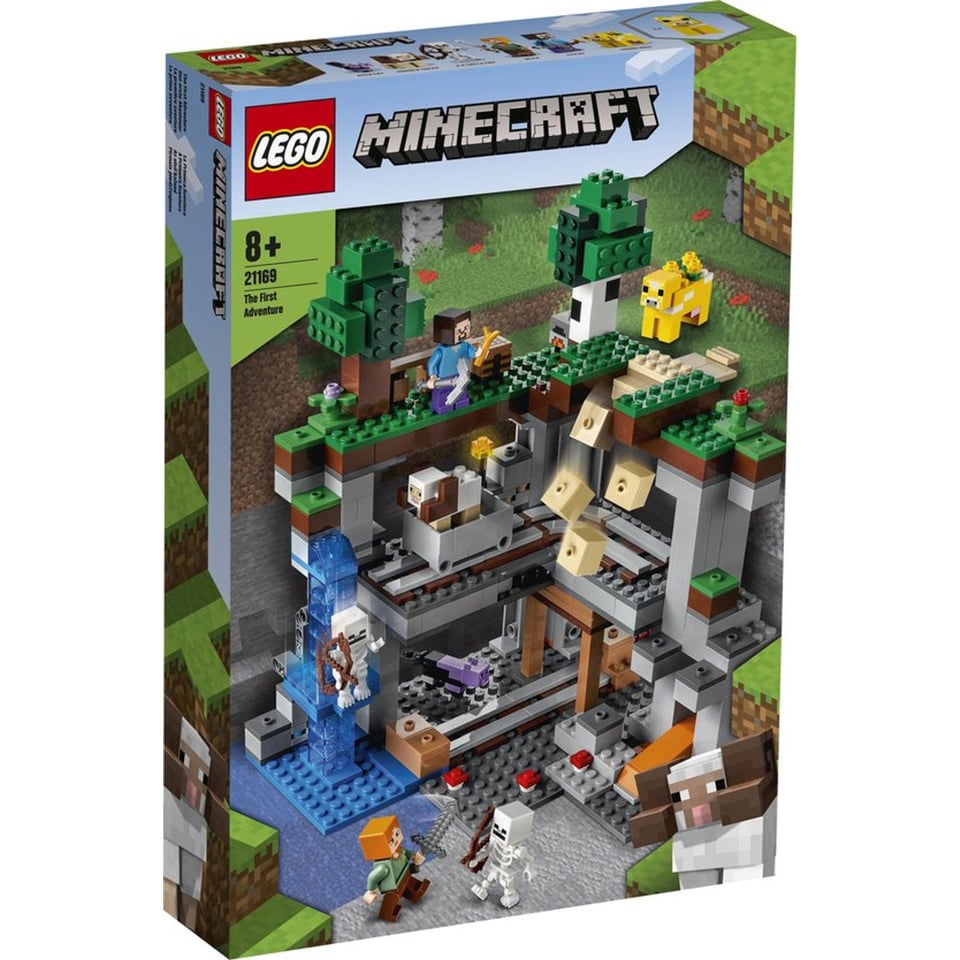 Lego Minecraft 21169 Het Allereerste Avontuur