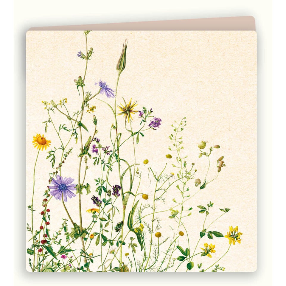 Kaart Marianne Veldbloemen