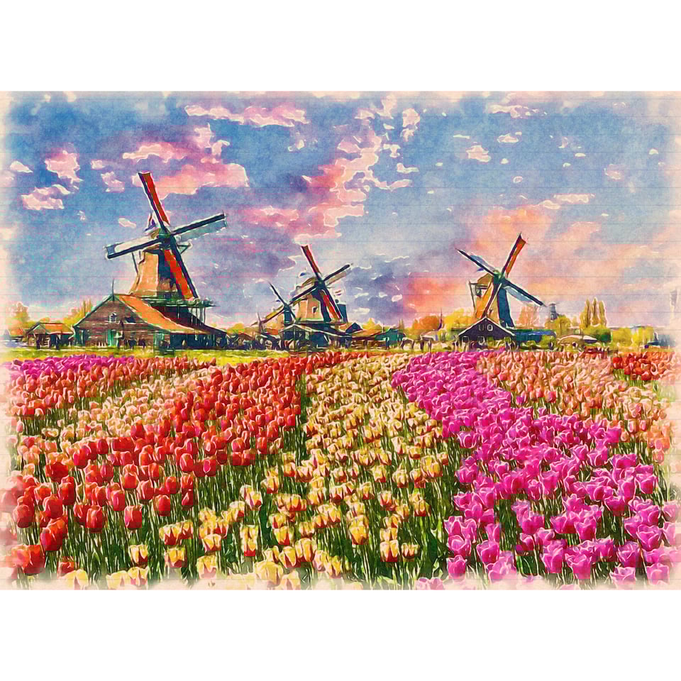 Dutch Landscape Poster - Windmill & Tulip Fields