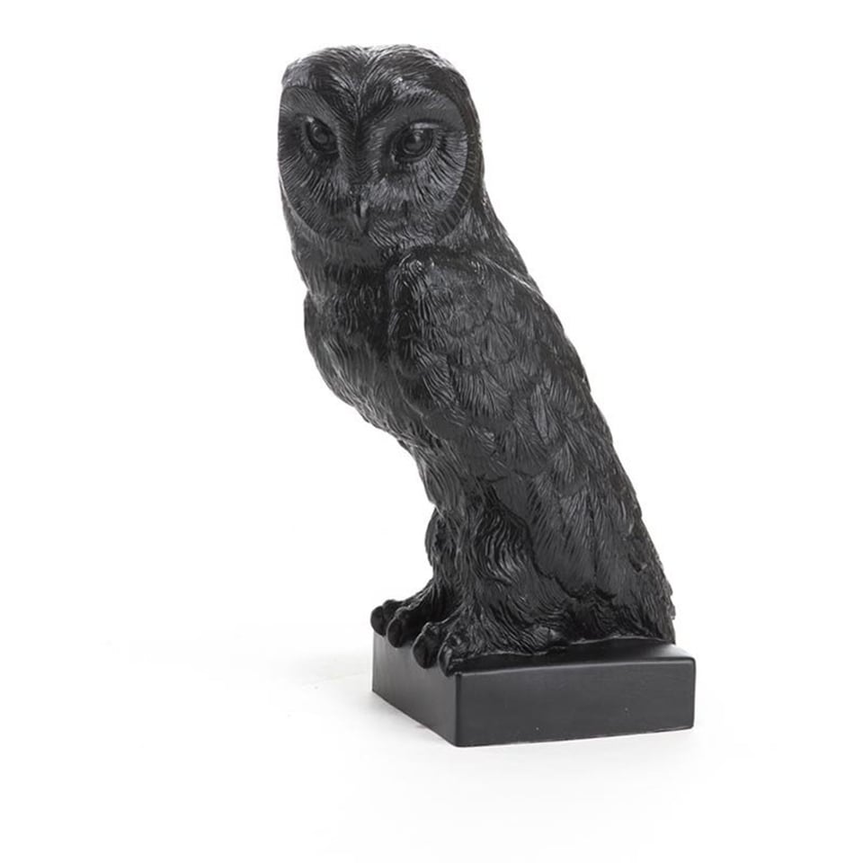 Uil - Ottmar Horl