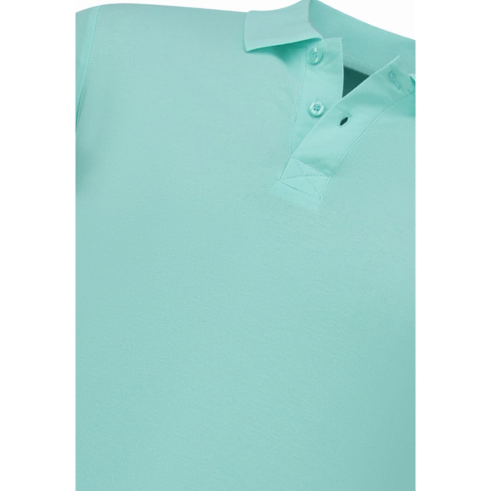Polo Heren - Poloshirts Heren Korte Mouw - Herenpolo - Slim Fit - A150 - Mint Groen