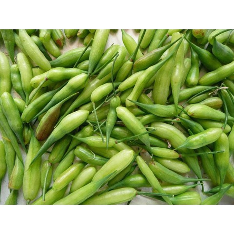 Green Mungre