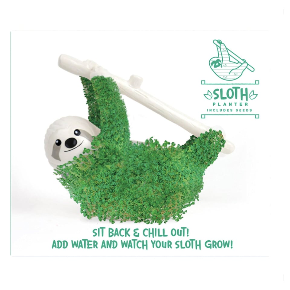 Chia Sloth- Grow kit with Chia Seeds