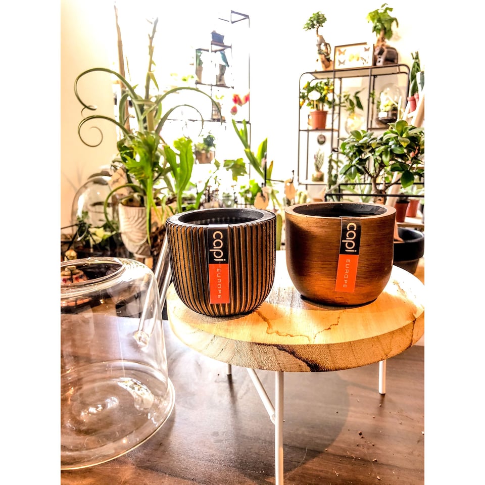 Handmade Shiny Small Plant Pots