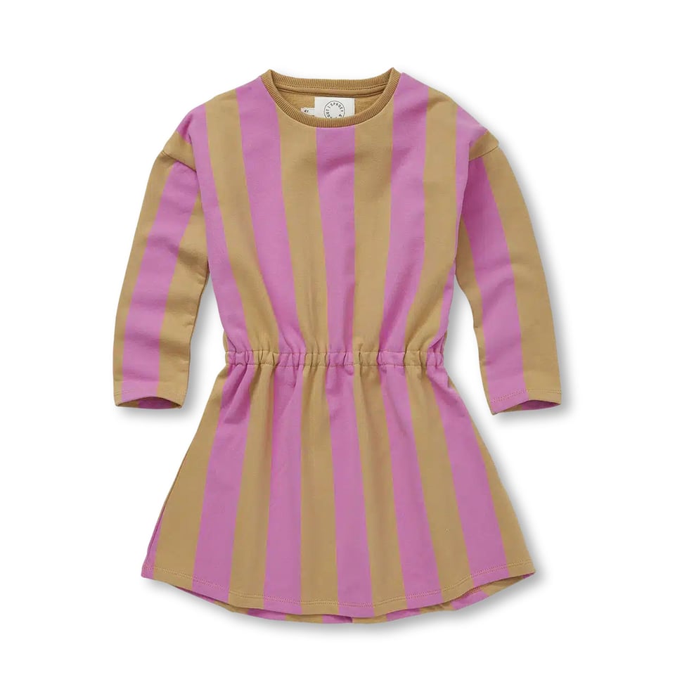 Sproet & Sprout Skater Dress Block Stripe Purple Pink