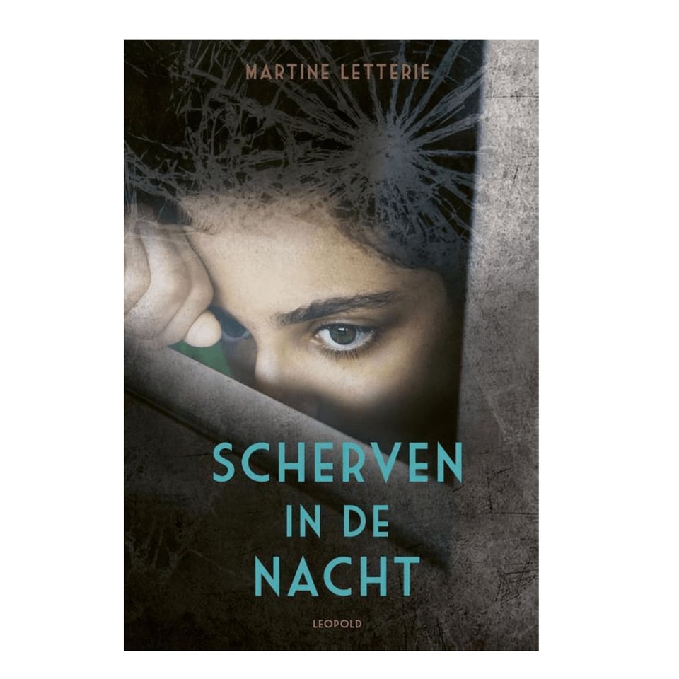 Scherven in De De Nacht - Martine Letterie