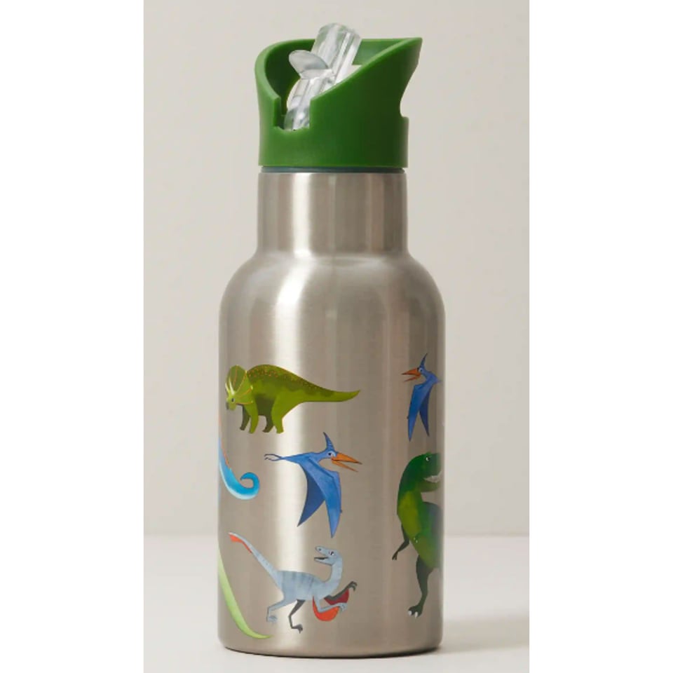 Crocodile Creek On the Go Stainless Steel Bottle Dinosaurs Roar