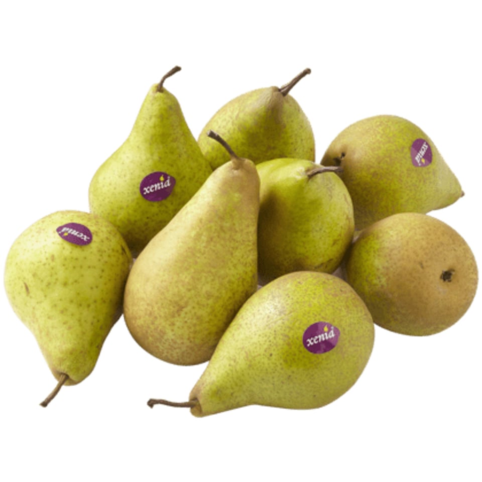 PLUS Handperen Xenia