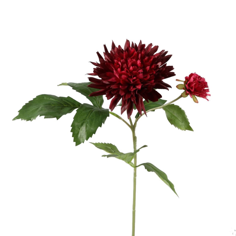 Kunstbloem Dahlia Sonic Bordeaux 2 Bloemen 65cm