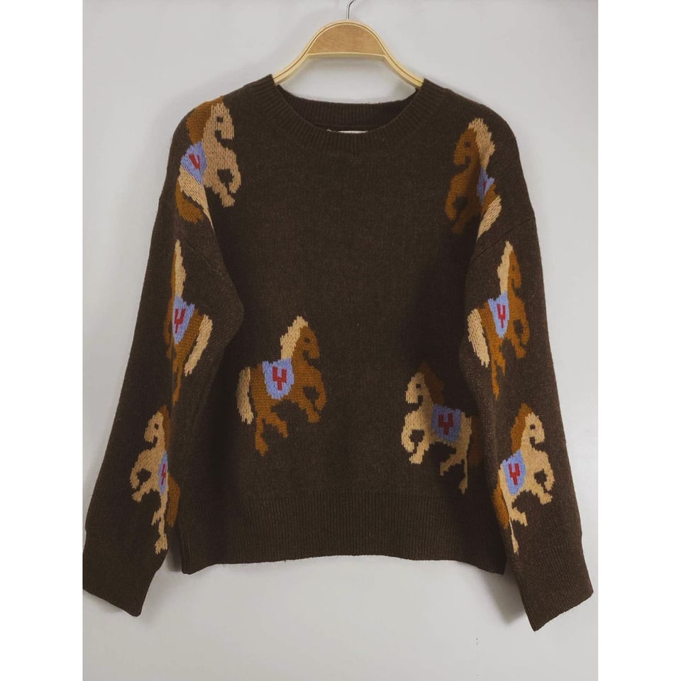 Coolest Soft Horse printed Jumper