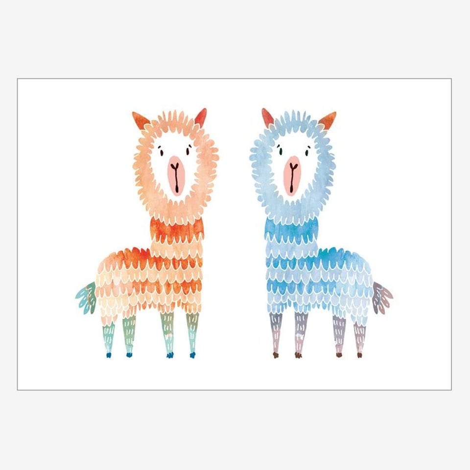 Dierenposter Noull - Alpaca's