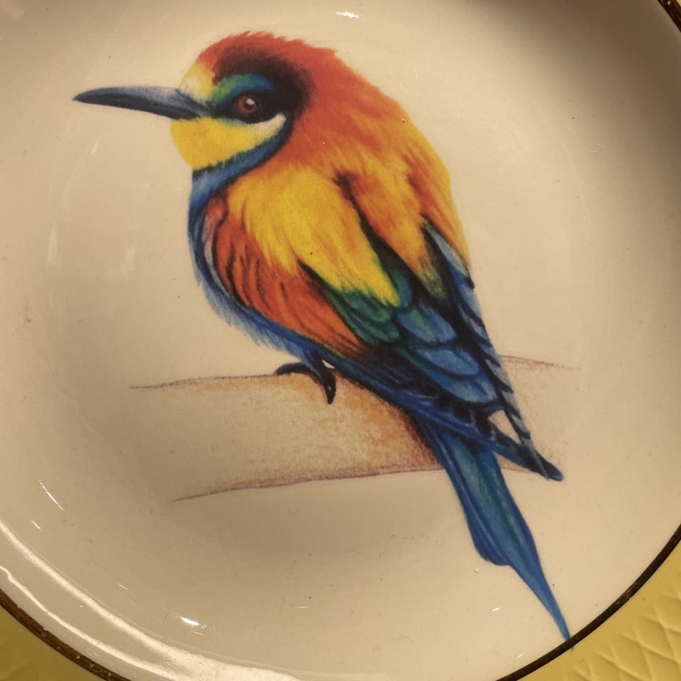 Bord Vogels Met Gele Rand
