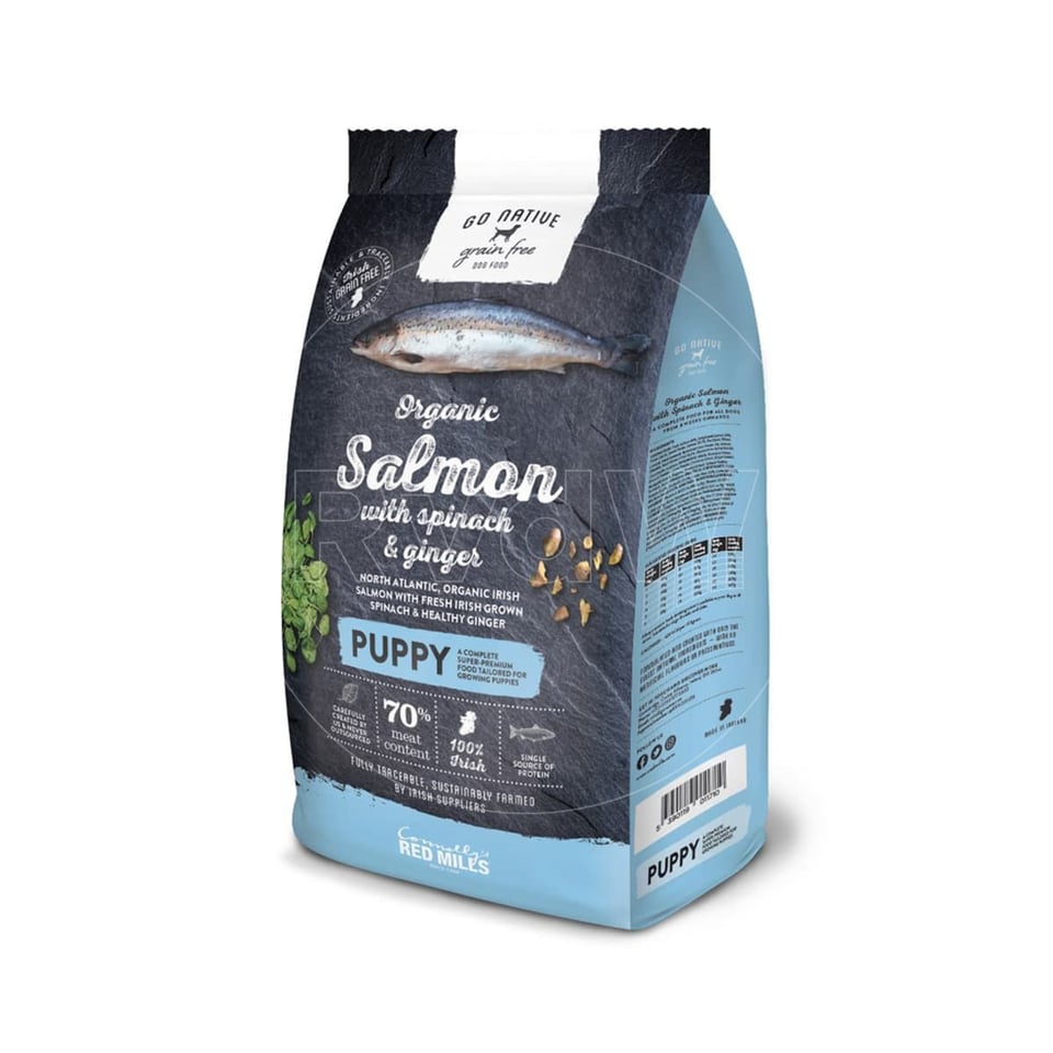 Go Native Hondenvoeding Salmon Puppy