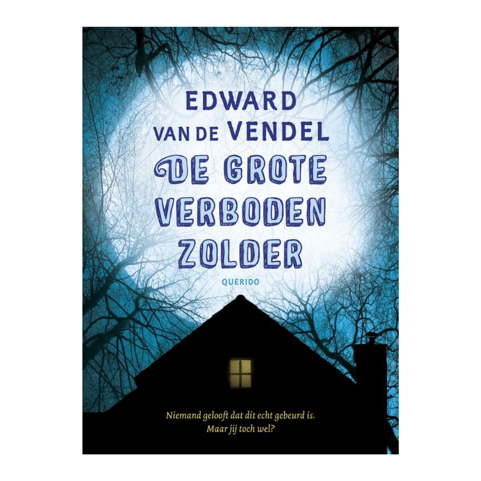 De Grote Verboden Zolder - Edward Van Den Vendel