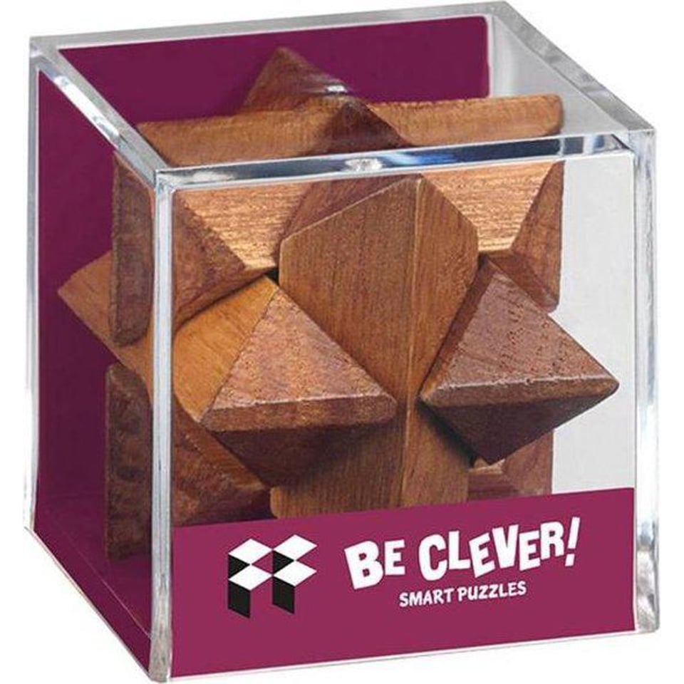 Be Clever! Smart Puzzels Blank Hout Maxi 6 Ass