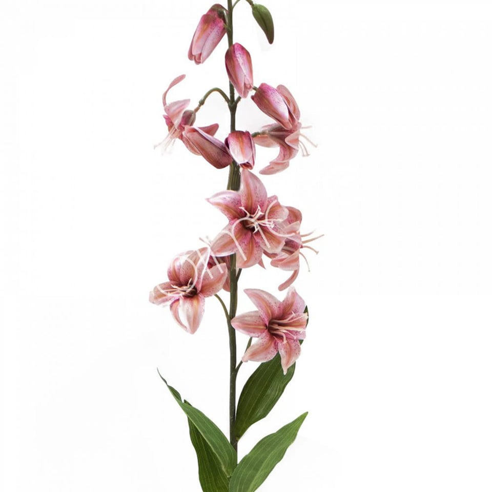 Kunstbloem Lelie Peach Steel 118cm