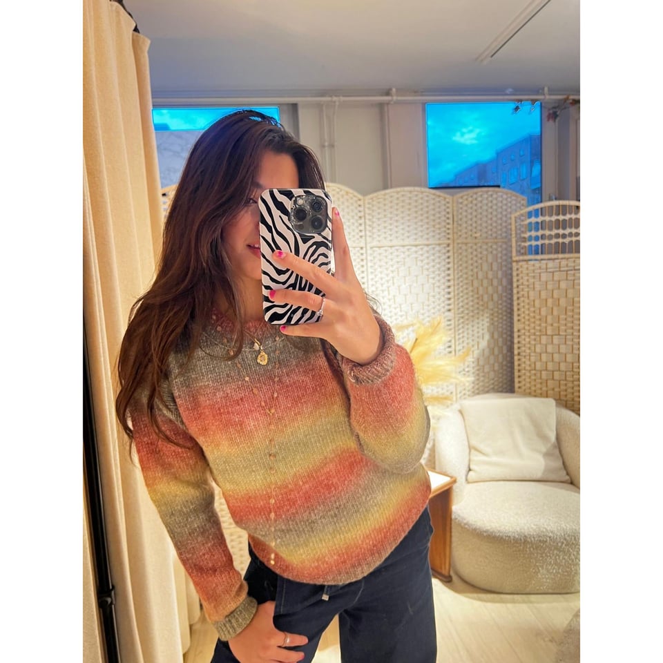 Roundneck Rainbow sweater - Brown - OneSize