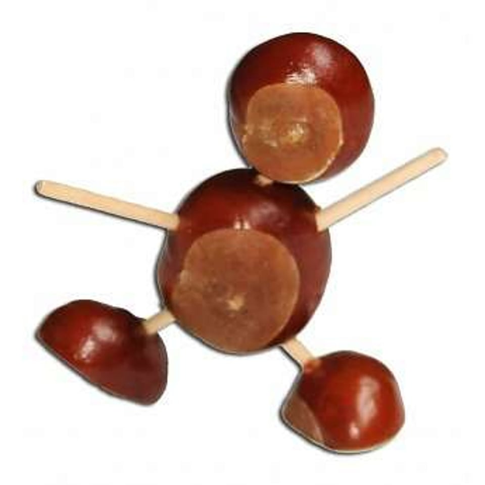 Kastanje Knutselset (Goki)