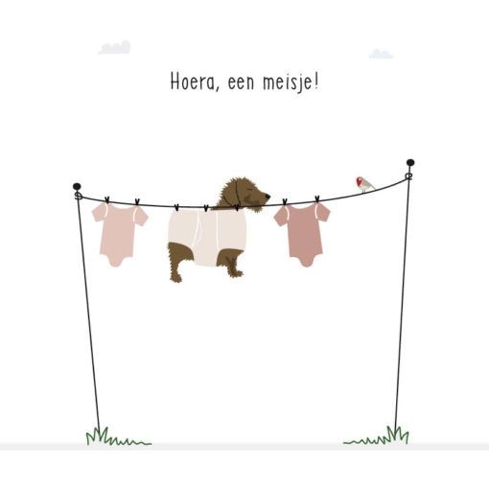 Wenskaarten - Frits