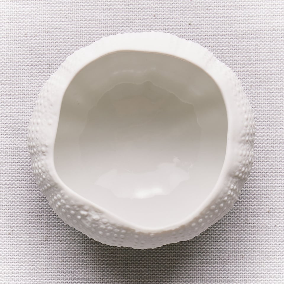 Zee-Egel 8 Cm