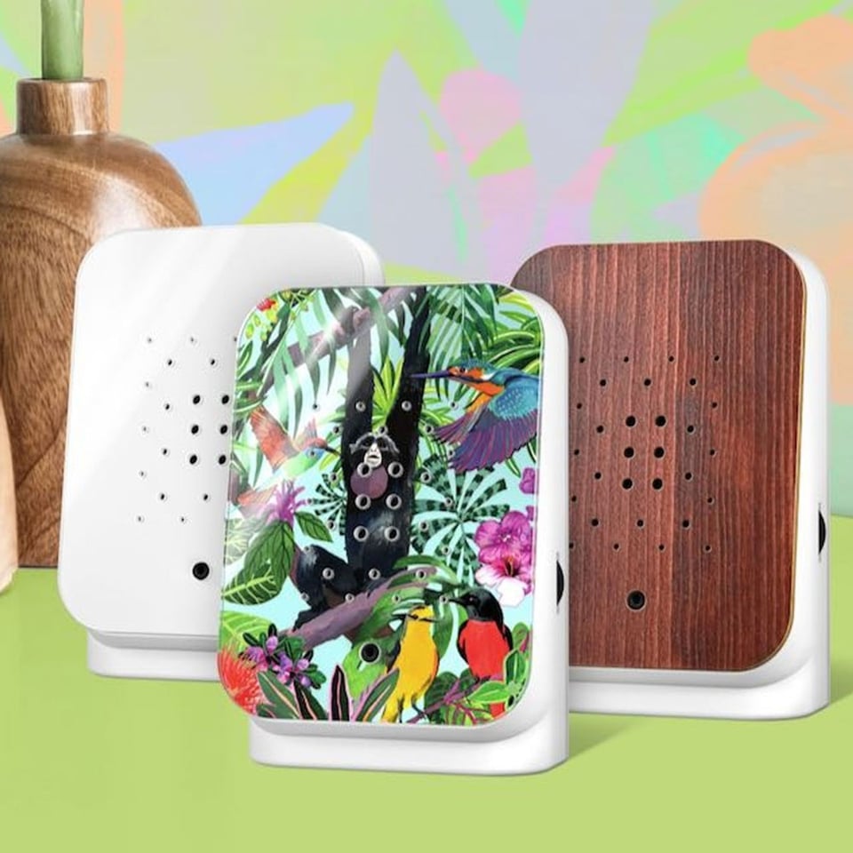 Junglebox Met Exotische Geluiden in 3 Kleuren