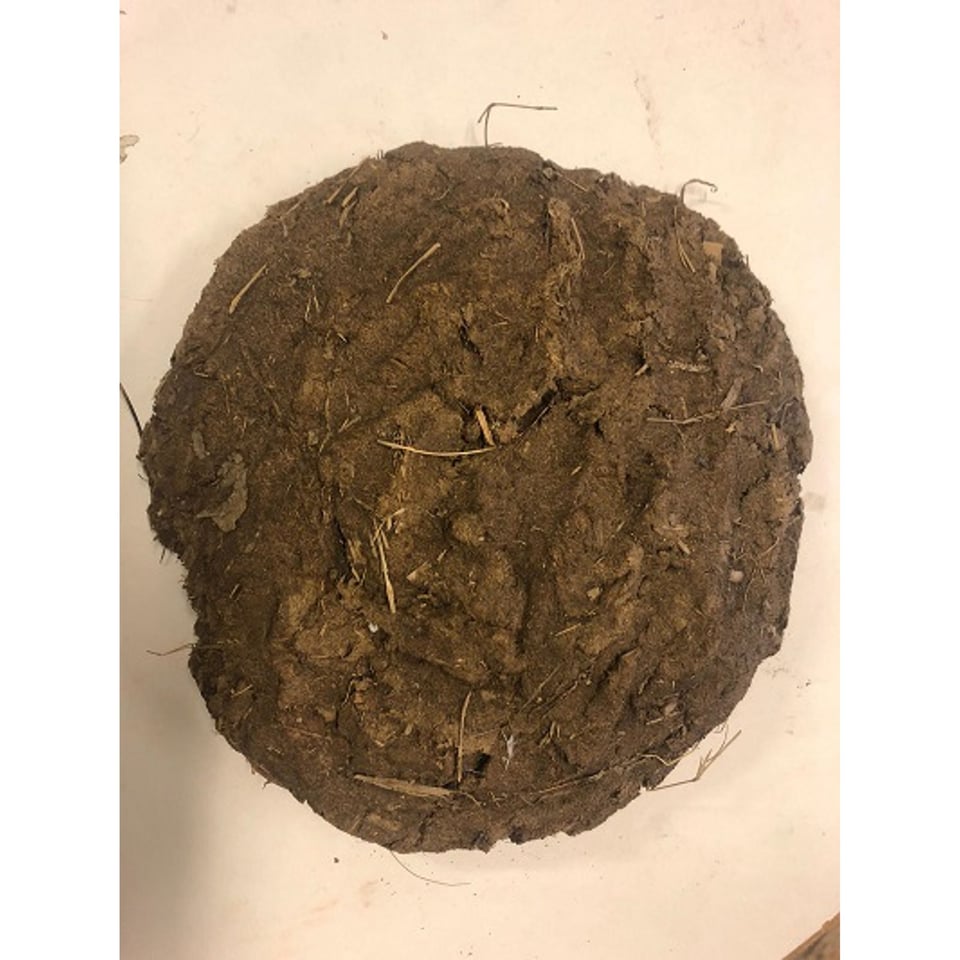 Dry Cow Dung Cake 1 Piece